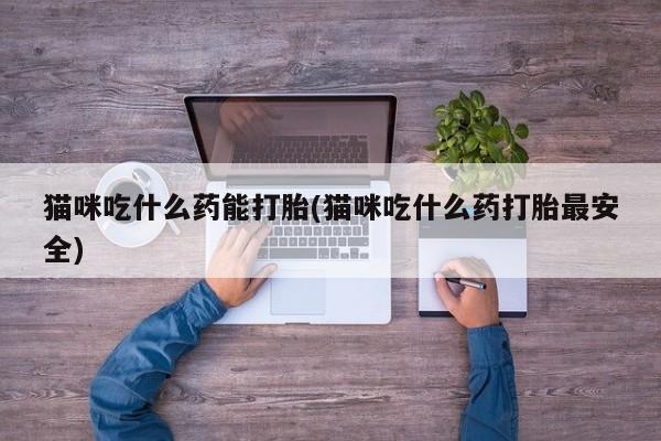 哪里有流产药联系方式猫咪吃什么药能打胎(猫咪吃什么药打胎最安全)