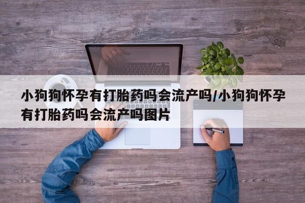 哪里有流产药联系方式小狗狗怀孕有打胎药吗会流产吗/小狗狗怀孕有打胎药吗会流产吗图片