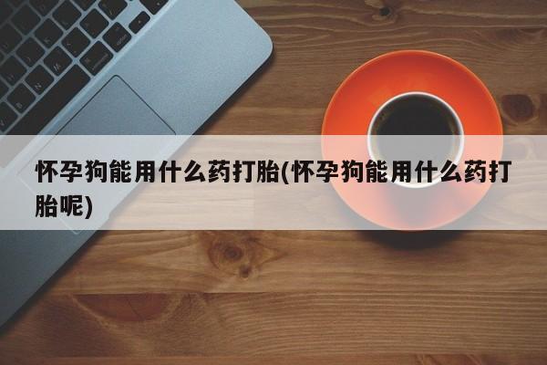 哪里有流产药联系方式怀孕狗能用什么药打胎(怀孕狗能用什么药打胎呢)